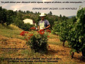 Le Domaine de St Jacques