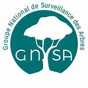 gnsa1