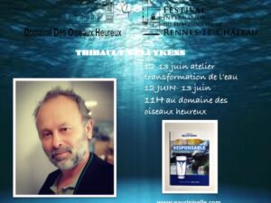thibauzlt gelukens 3